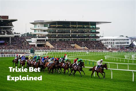 trixie bet explained|round robin trixie bet.